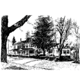 The Black Tavern Line Drawing